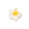 Plastic Claw Hair Clips PW-WG07B2B-01-1