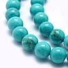 Natural Magnesite Round Beads Strands TURQ-G148-03-10mm-3