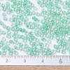 MIYUKI Round Rocailles Beads SEED-X0054-RR0219-4