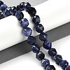 Natural Sodalite Beads Strands G-NH0021-A02-01-2