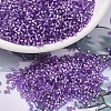 MIYUKI Delica Beads SEED-X0054-DB1343-1