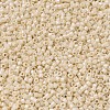 MIYUKI Delica Beads SEED-JP0008-DB0204-4