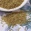 MIYUKI Delica Beads SEED-X0054-DB0911-1