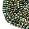 Natural African Turquoise(Jasper) Beads Strands G-P573-A29-01-3