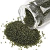 MIYUKI Delica Beads LS-X-SEED-J020-DB2404-1