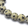 Natural Dalmatian Jasper Bead Stretch Bracelets X-BJEW-K212-A-014-3