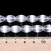 Dyed Natural Selenite Beads Strands G-T138-233A-4