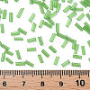 Transparent Glass Bugle Beads SEED-N005-001-C02-4
