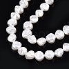 ABS Plastic Imitation Pearl Beads Strands KY-N015-14A-3