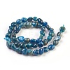 Natural Apatite Beads Strands X-G-F575-07-1
