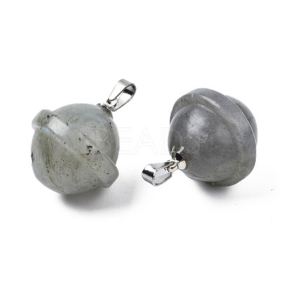 Natural Labradorite Pendants PORC-T132-053C-1
