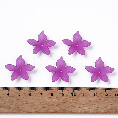 Transparent Acrylic Beads MACR-S373-127-D07-1