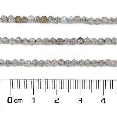 Natural Labradorite Beads Strands G-I341-11A-1