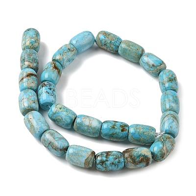 Natural Magnesite Beads Strands GG-CBA6BAC-E06-1