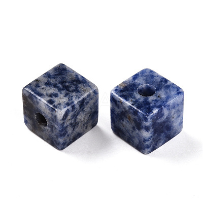 Natural Blue Spot Jasper European Beads G-N345-07A-05-1