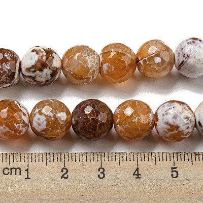 Faceted Natural Fire Crackle Agate Beads Strands G-F447-12mm-N10-1