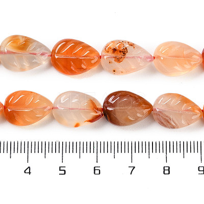 Natural Agate Carved Beads Strands G-H024-B01-01-1