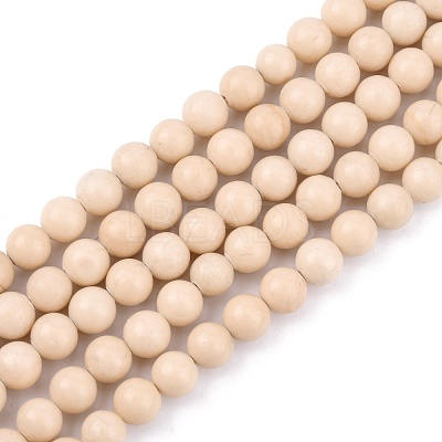 Natural Fossil Beads Strands G-E110-6mm-2-1