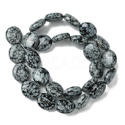 Natural Snowflake Obsidian Beads Strands G-K365-B15-03-1