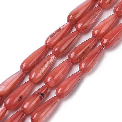 Natural Freshwater Shell Beads Strands SHEL-A004-03F-1