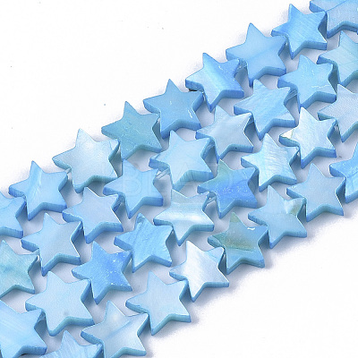 Freshwater Shell Beads Strands X-SHEL-T014-009B-1
