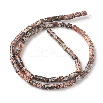 Natural Leopard Skin Jasper Beads Strands G-F247-27-1