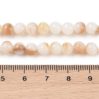 Natural Freshwater Shell Beads Strands X-SHEL-T011-02-6mm-1