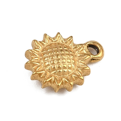 304 Stainless Steel Charms LS-STAS-G363-12G-1