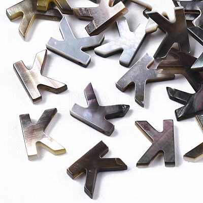 Natural Black Lip Shell Beads X-SSHEL-S265-001K-1