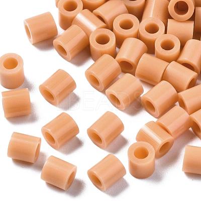 PE Fuse Beads X-DIY-R013-18-1