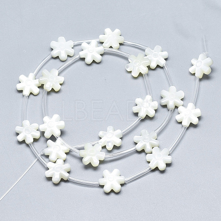 Natural White Shell Mother of Pearl Shell Beads SSHEL-N036-015-1
