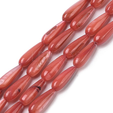 Natural Freshwater Shell Beads Strands SHEL-A004-03F-1