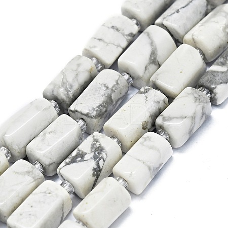 Natural Howlite Beads Strands G-O170-150-1