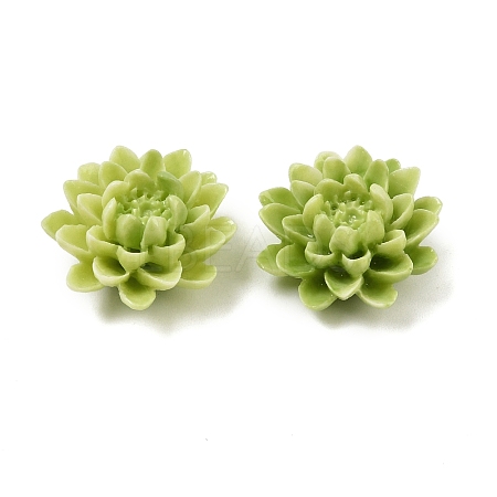 Synthetic Coral Dyed Carved Beads SHEL-Z003-03D-02-1