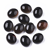 Translucent Glass Cabochons GLAA-T023-02C-3