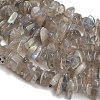 Natural Labradorite Beads Strands GG-CBAC61B-C06-01-3