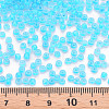 8/0 Transparent Glass Seed Beads SEED-S048-P-004-4