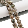 Natural Tibetan 3-Eye dZi Agate Beads Strands G-A240-A03-01-2