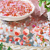 Handmade Polymer Clay Cabochons CLAY-TADJ0001-01E-6