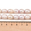 Natural Cultured Freshwater Pearl Beads Strands PEAR-F020-24B-5