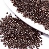 FGB 11/0 Grade A Glass Seed Beads SEED-S030-1205-1