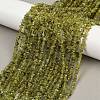 Natural Peridot Beads Strands G-P332-48-02-2