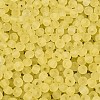 FGB Frosted Transparent Glass Seed Beads SEED-N013-04A-02-3