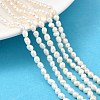 Natural Cultured Freshwater Pearl Beads Strands PEAR-I007-01O-01B-1