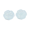 Frosted Transparent Acrylic Beads OACR-P029-19B-06-3