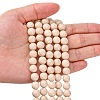 Natural Fossil Beads Strands LS-G-E110-8mm-2-4