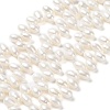 Natural Cultured Freshwater Pearl Beads Strands PEAR-J007-65-1