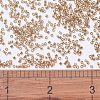 MIYUKI Delica Beads X-SEED-J020-DB1221-4