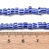 Handmade Lampwork Beads Strands BLOW-K001-01B-14-2