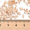 Glass Seed Beads SEED-S042-04B-17-4